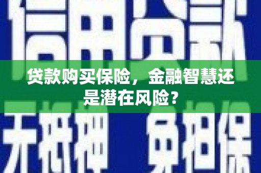 土默特右旗贷款购买保险，金融智慧还是潜在风险？