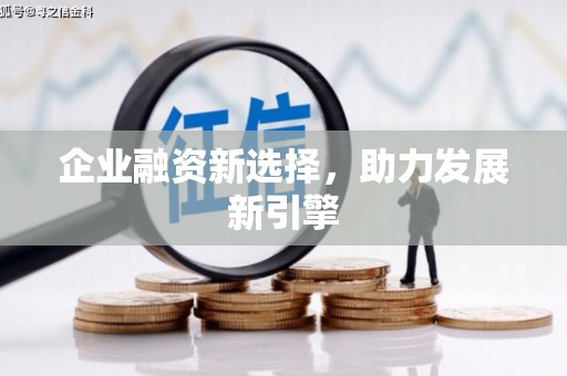 土默特右旗企业融资新选择，助力发展新引擎