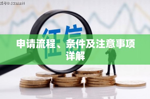 土默特右旗申请流程、条件及注意事项详解