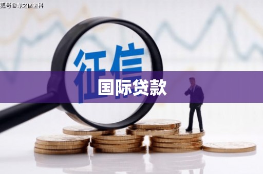 土默特右旗国际贷款