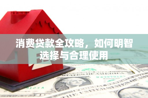 土默特右旗消费贷款全攻略，如何明智选择与合理使用