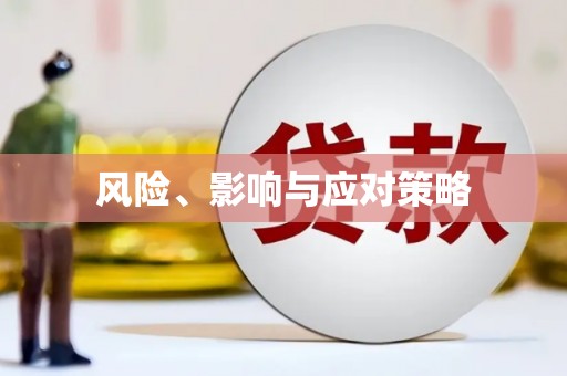 土默特右旗风险、影响与应对策略