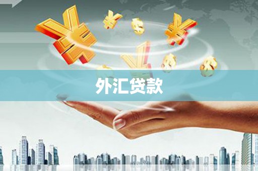 土默特右旗外汇贷款