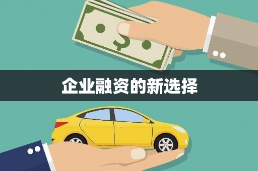 土默特右旗企业融资的新选择