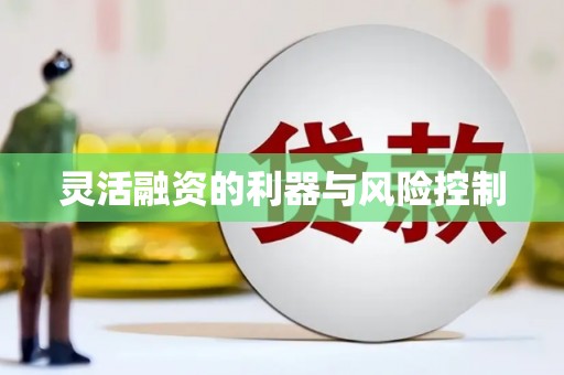 土默特右旗灵活融资的利器与风险控制
