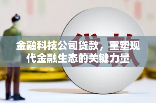 土默特右旗金融科技公司贷款，重塑现代金融生态的关键力量