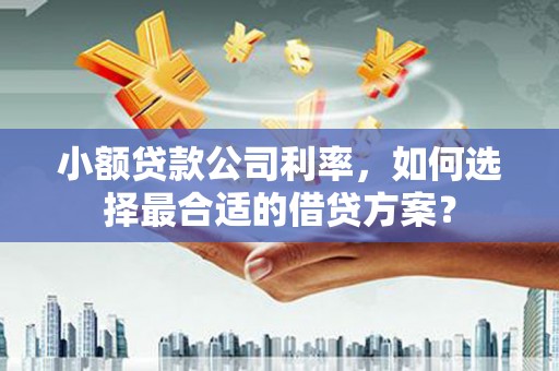 土默特右旗小额贷款公司利率，如何选择最合适的借贷方案？