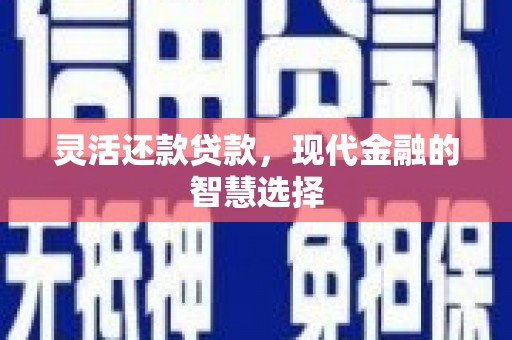 土默特右旗灵活还款贷款，现代金融的智慧选择