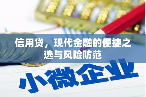 土默特右旗信用贷，现代金融的便捷之选与风险防范