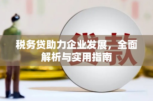 土默特右旗税务贷助力企业发展，全面解析与实用指南