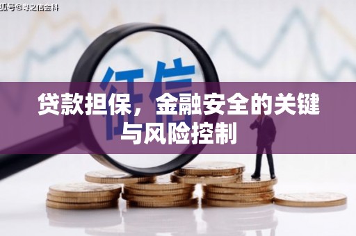 土默特右旗贷款担保，金融安全的关键与风险控制