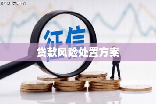 土默特右旗贷款风险处置方案