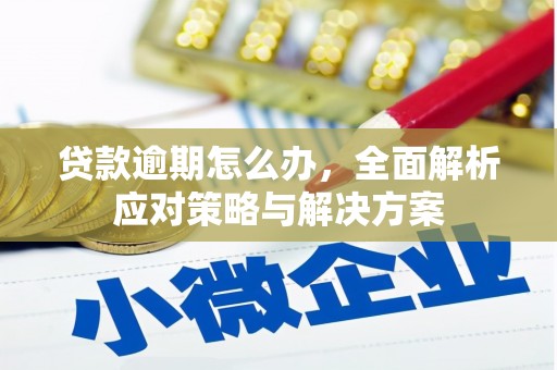 土默特右旗贷款逾期怎么办，全面解析应对策略与解决方案