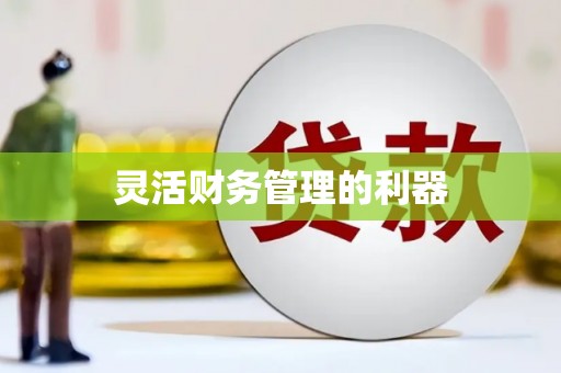 土默特右旗灵活财务管理的利器