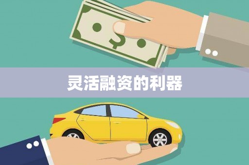 土默特右旗灵活融资的利器
