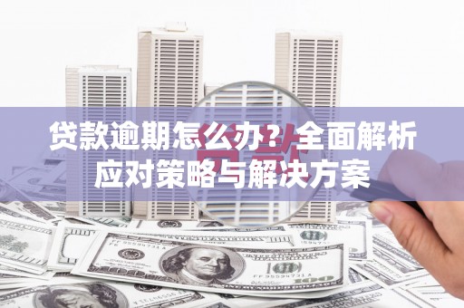 土默特右旗贷款逾期怎么办？全面解析应对策略与解决方案