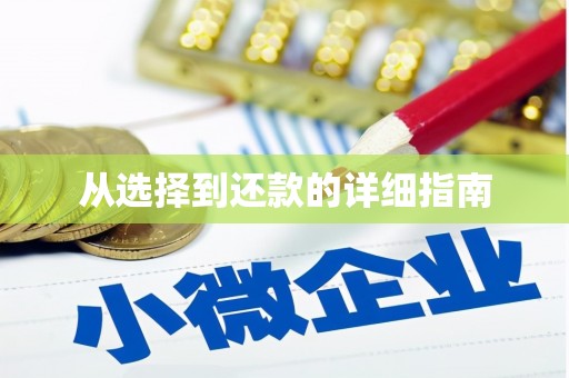 土默特右旗从选择到还款的详细指南