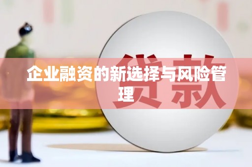 土默特右旗企业融资的新选择与风险管理