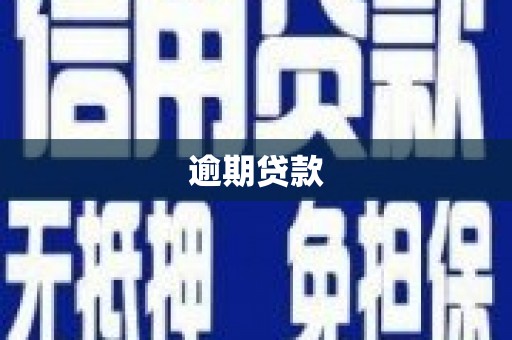 土默特右旗逾期贷款