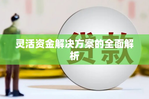 土默特右旗灵活资金解决方案的全面解析
