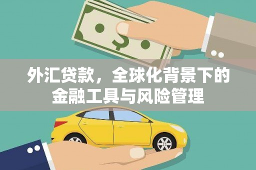 土默特右旗外汇贷款，全球化背景下的金融工具与风险管理